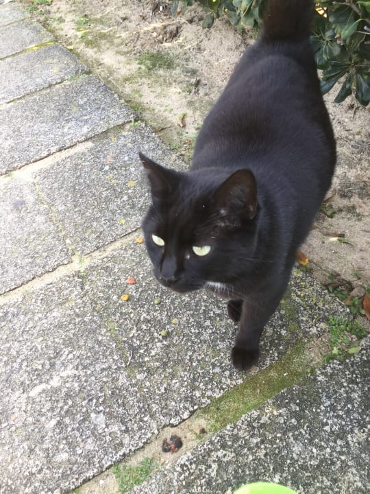 Sonstiges Hotel Riu San Francisco - Adults only