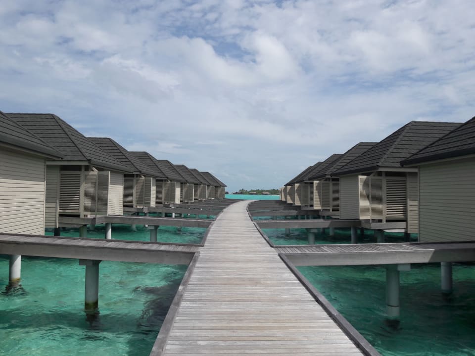 Ausblick Summer Island Maldives