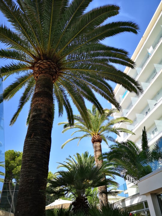 Außenansicht allsun Hotel Cristóbal Colón