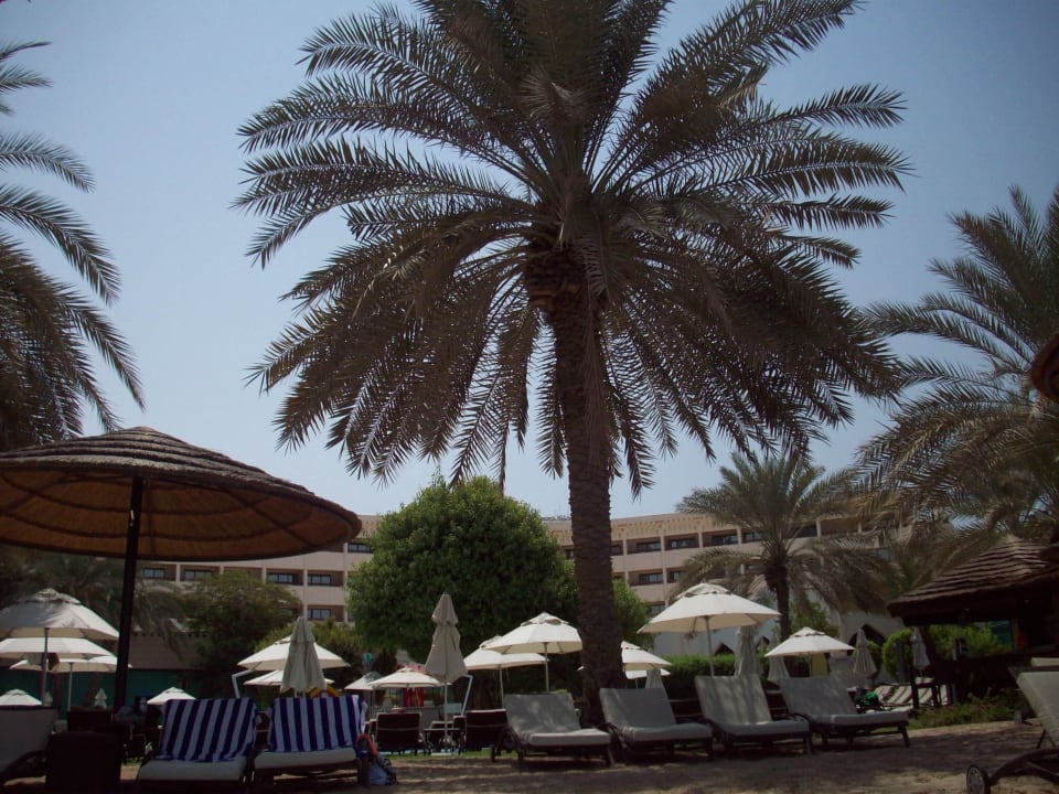 Am Tage Le Meridien Abu Dhabi Resort