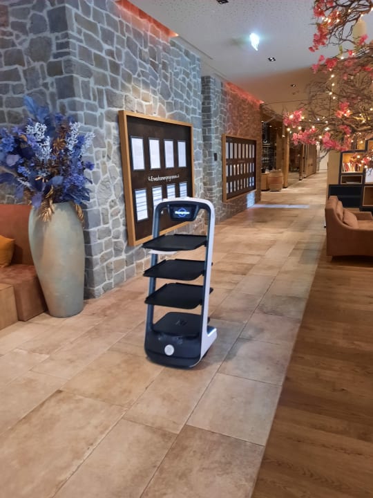 Lobby Dachsteinkönig - Familux Resort