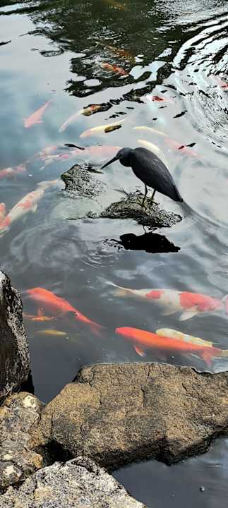 Gartenanlage Eden Beach Khao Lak Resort & Spa