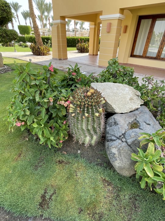 Gartenanlage Jaz Solaya