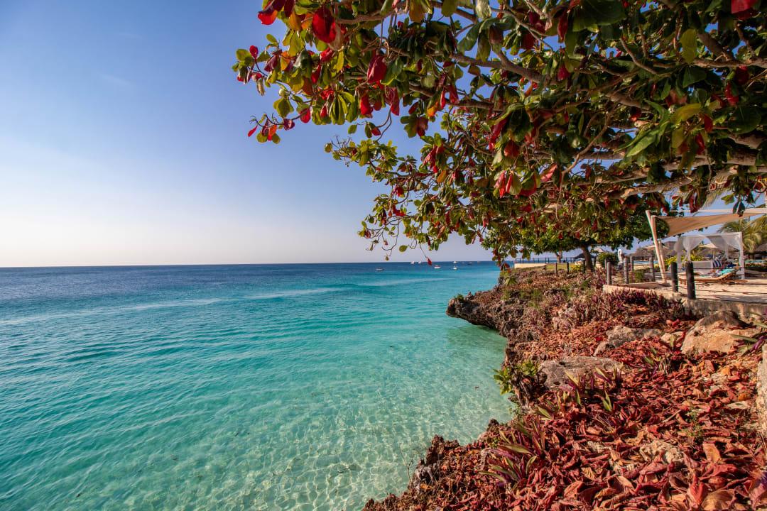 Ausblick Royal Zanzibar Beach Resort