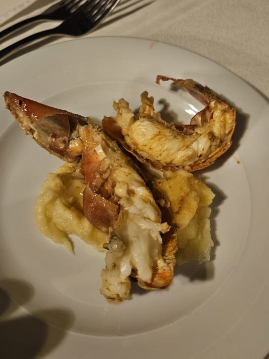 Gastro TUI MAGIC LIFE Penelope Beach