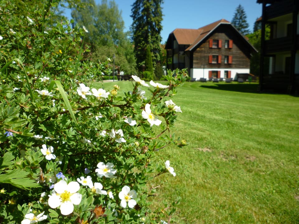 Nina im August 2015 Hapimag Resort Braunlage