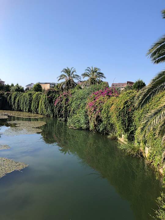 Strand Palm World Side Resort & Spa