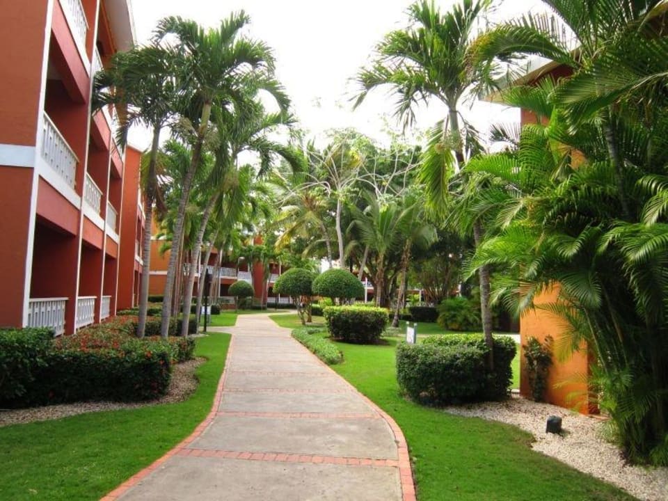 Gartenanlage BelleVue Dominican Bay