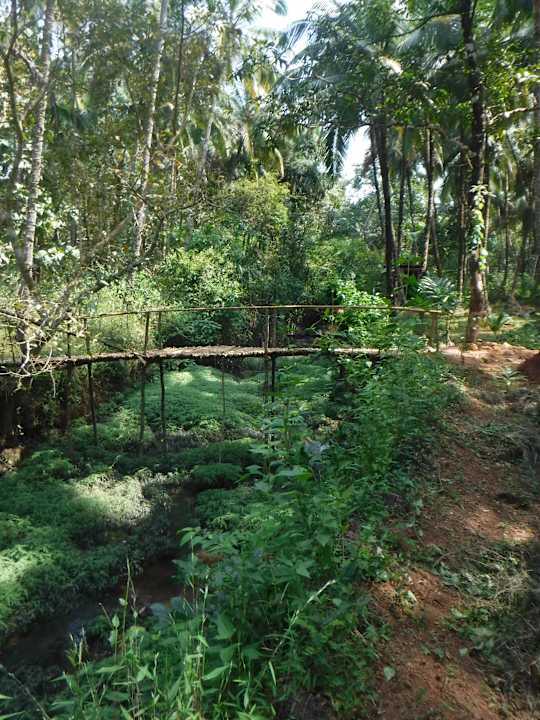 Sonstiges Credo Jungle Resort - Agonda