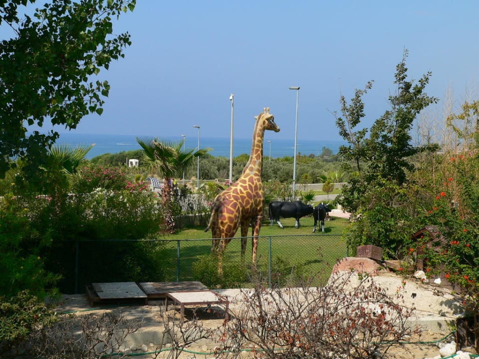Blick zum Meer Alba Resort Hotel
