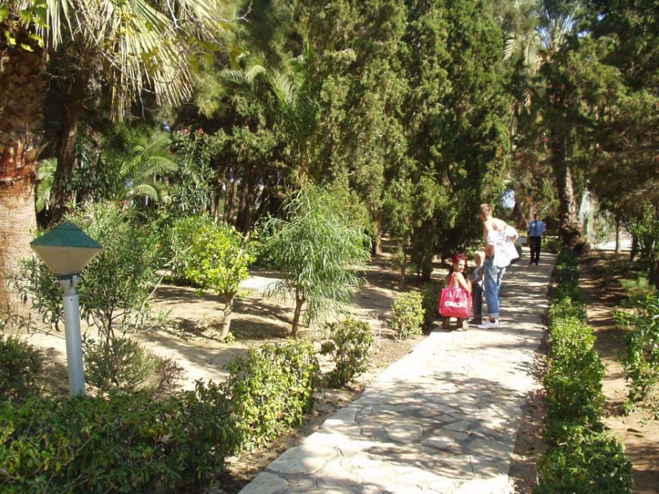 Strandweg Marhaba Royal Salem