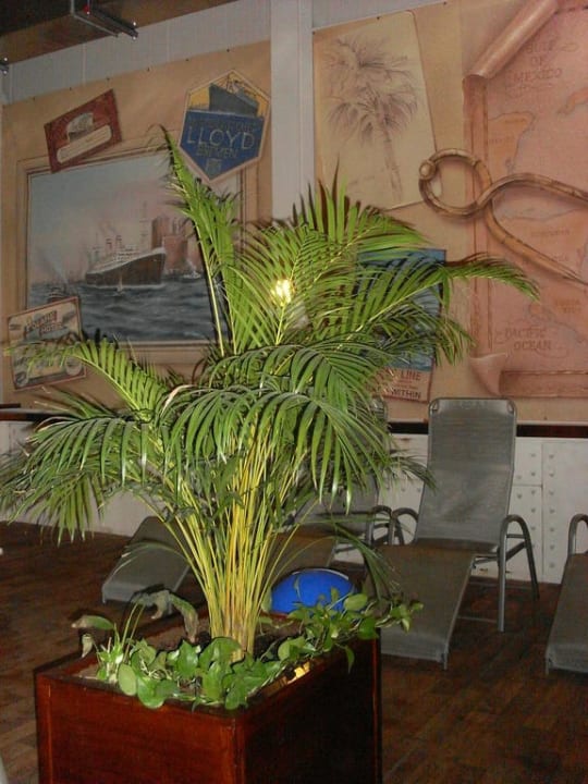 Subtropischen Badeparadies Ferienwohnungen Ferienpark Weissenhäuser Strand