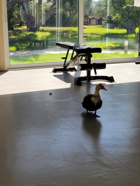 Sport & Freizeit TUI KIDS CLUB Alex Beach