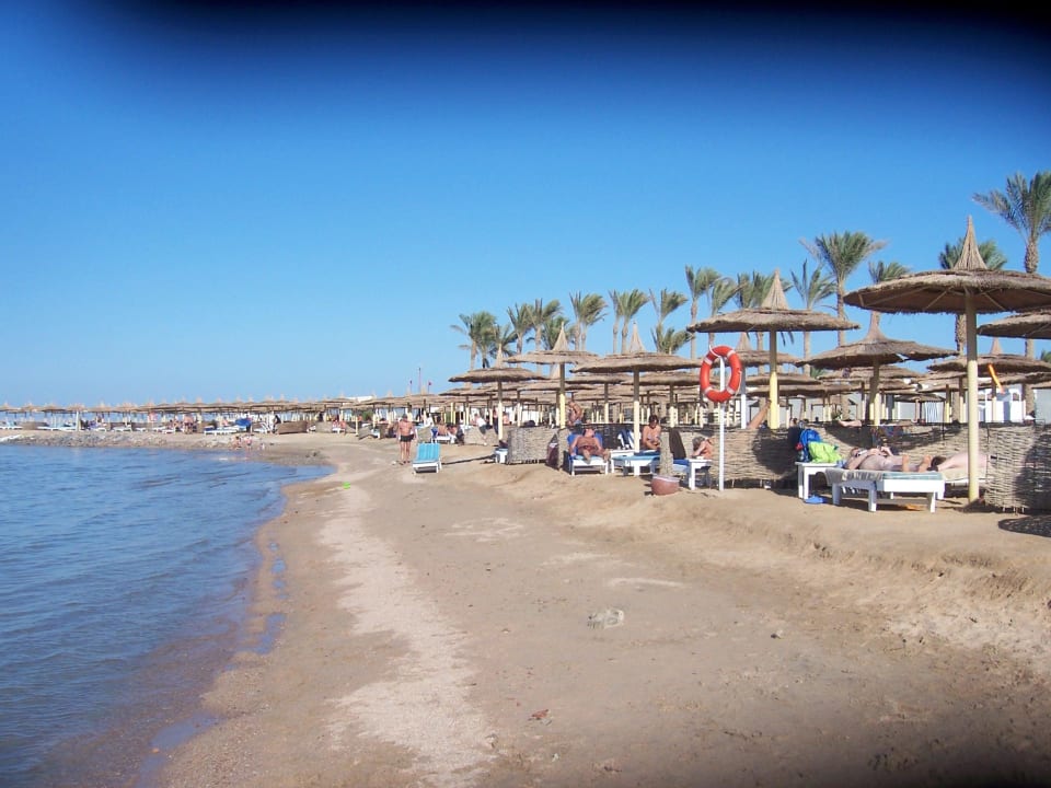 Strand des Dana-Beach Pickalbatros Dana Beach Resort - Hurghada