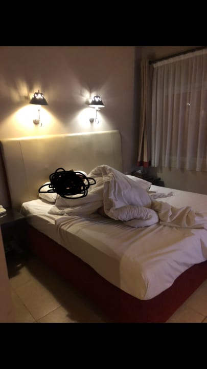 Zimmer Jaz Makadi Oasis Resort