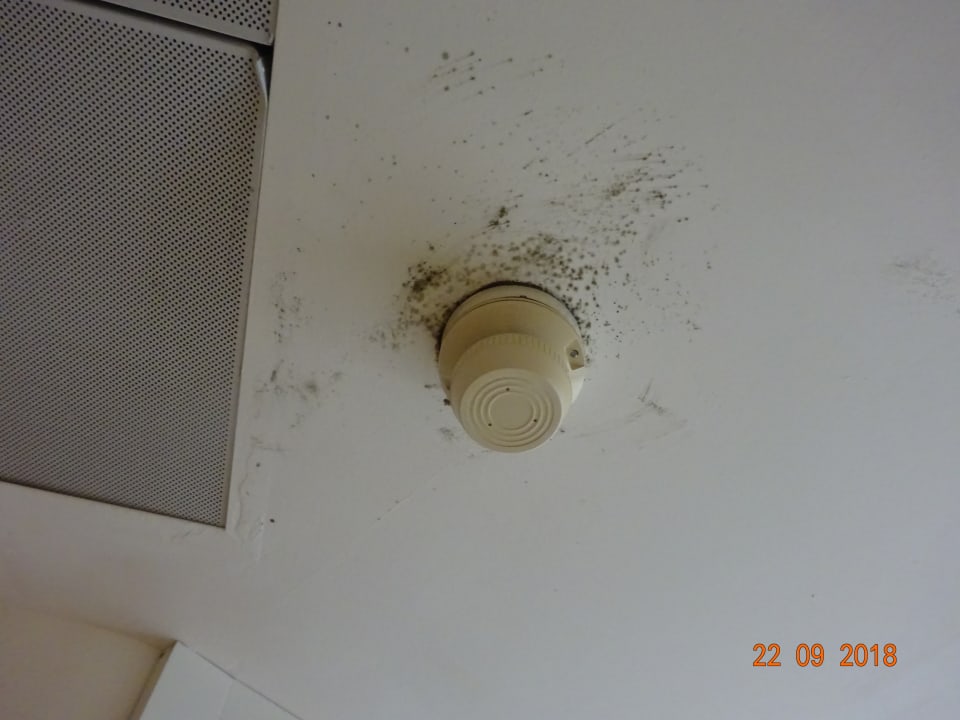 Zimmer Sabina Hotel & Suites