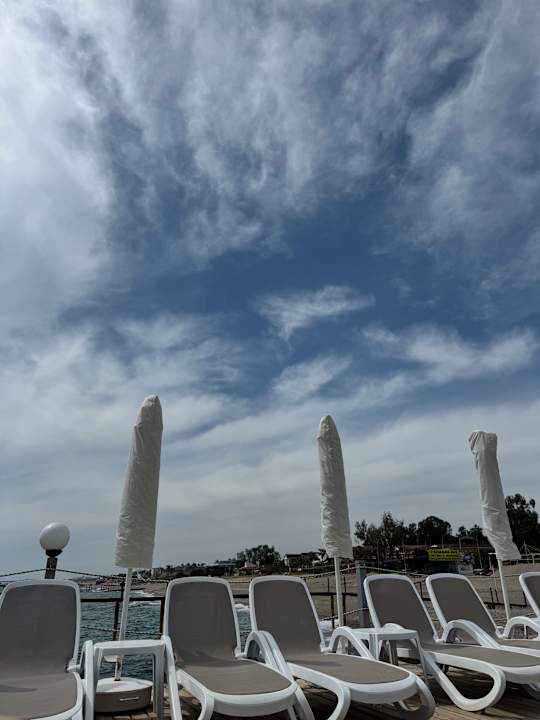 Strand Dizalya Palm Garden