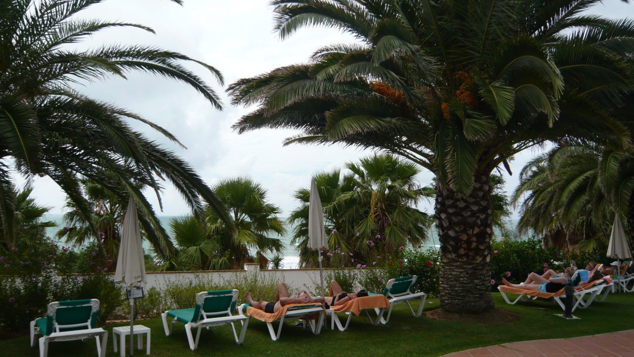 Blick aufs Meer Fuerte Conil-Resort