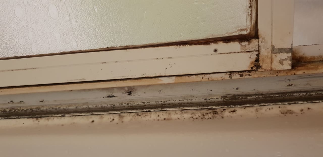 Zimmer Hotel Orfeus Park