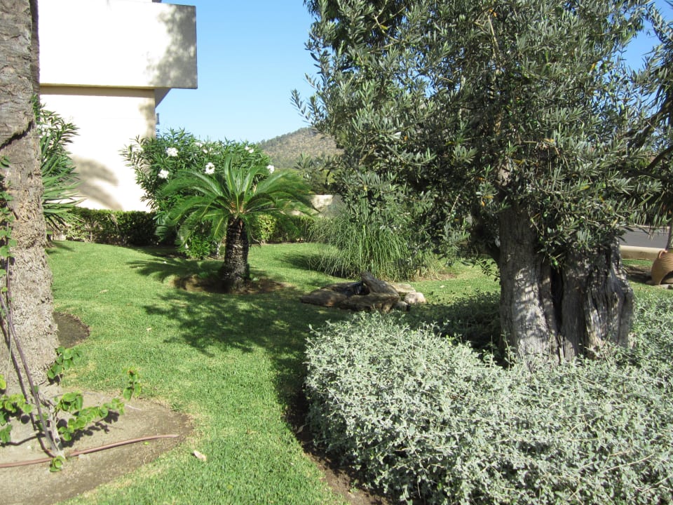 Gartenanlage  VIVA Eden Lago