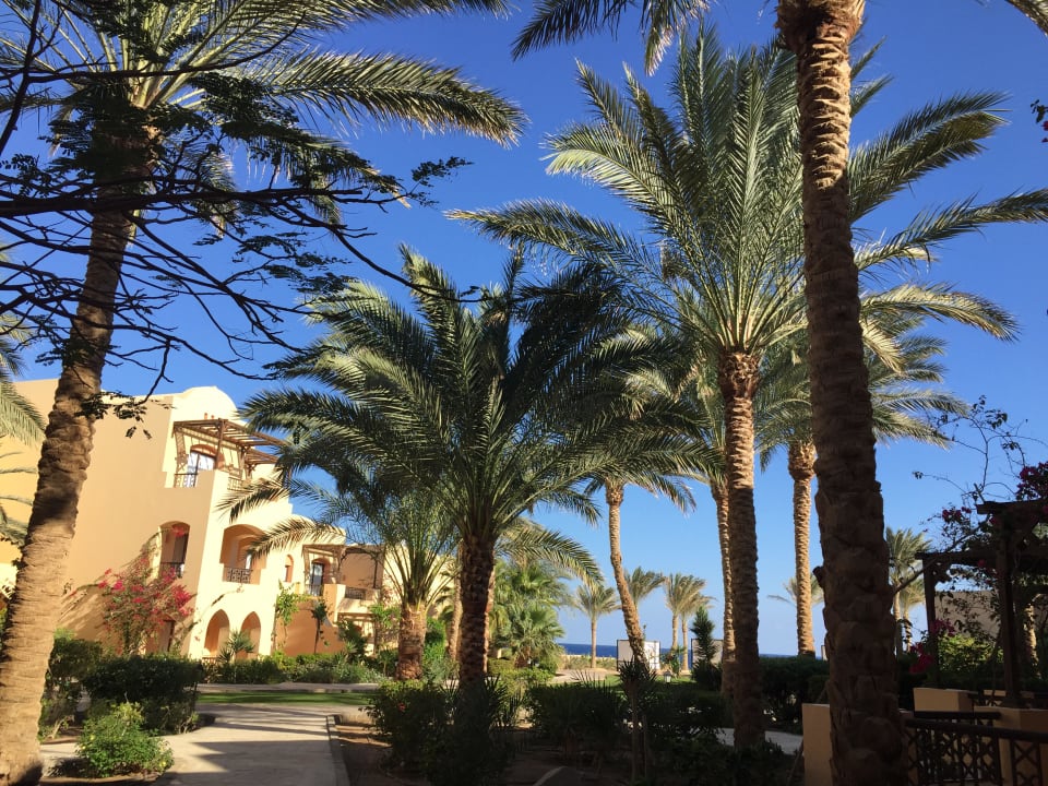 Zimmer Ausblick  Steigenberger Coraya Beach - Adults only