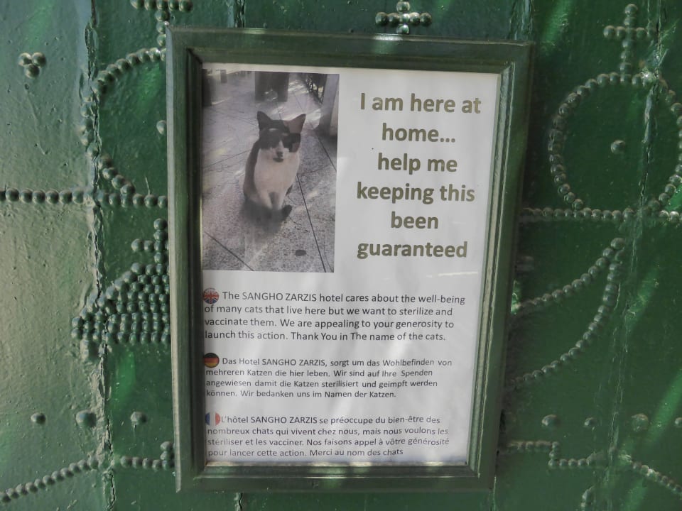 Katzenfreundlichkeit Hotel Sangho Club Zarzis