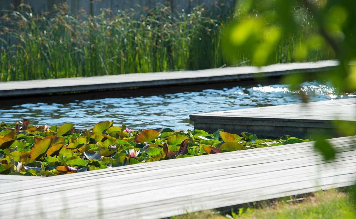 Naturschwimmbad Residence Weinsepphof FeWo