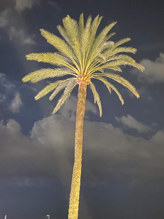 Lobby BQ Aguamarina Boutique Hotel