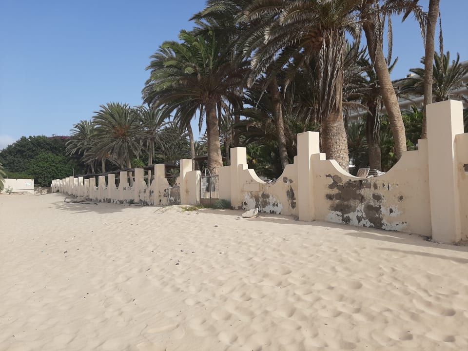 Sonstiges Hotel Riu Oliva Beach - Hotel