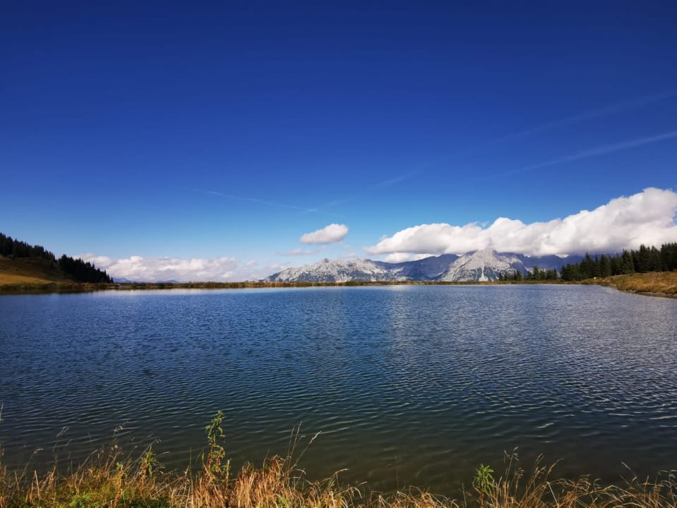 Ausblick Pension Edelweiss