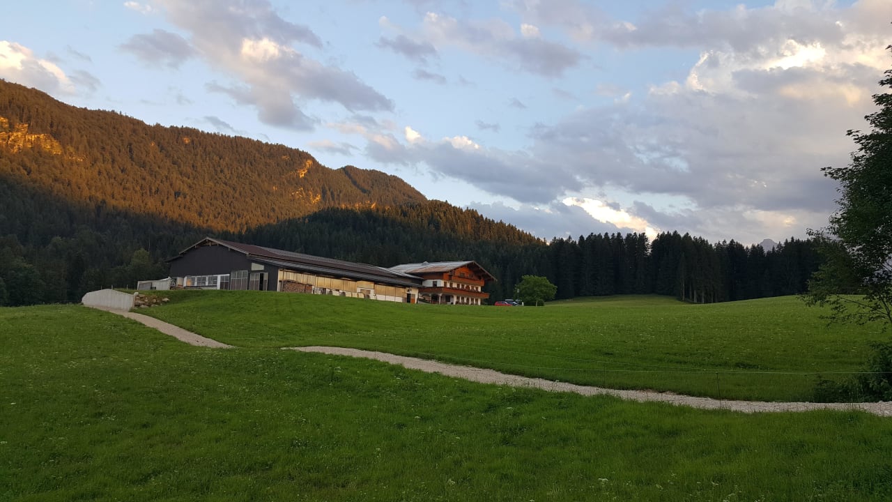 Bauernhof  Bio-Bauernhof Oberhochstätt