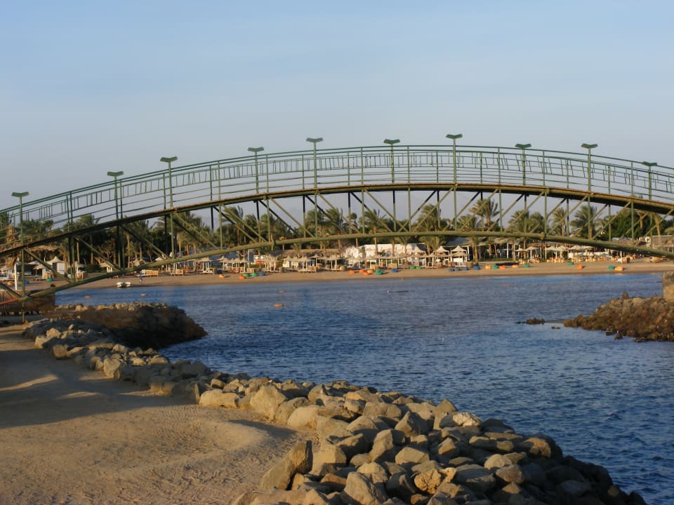Ausblick Desert Rose