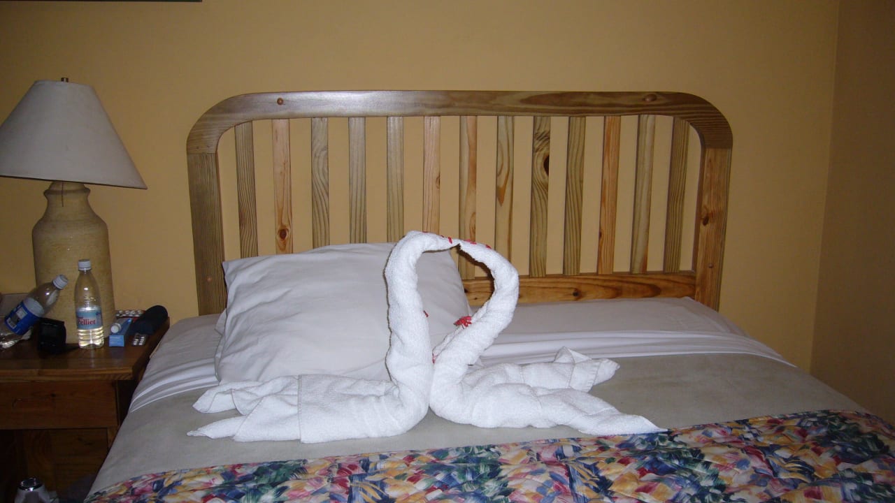 Hotel Zimmer whala!boca chica