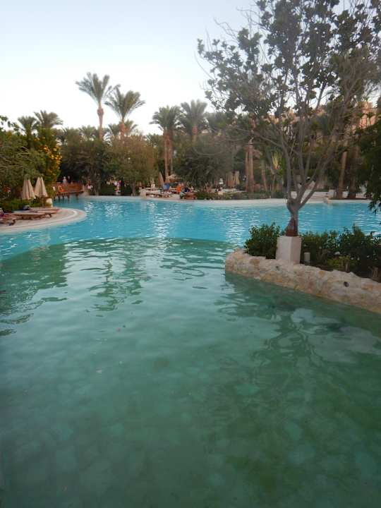 Pool Makadi Palace