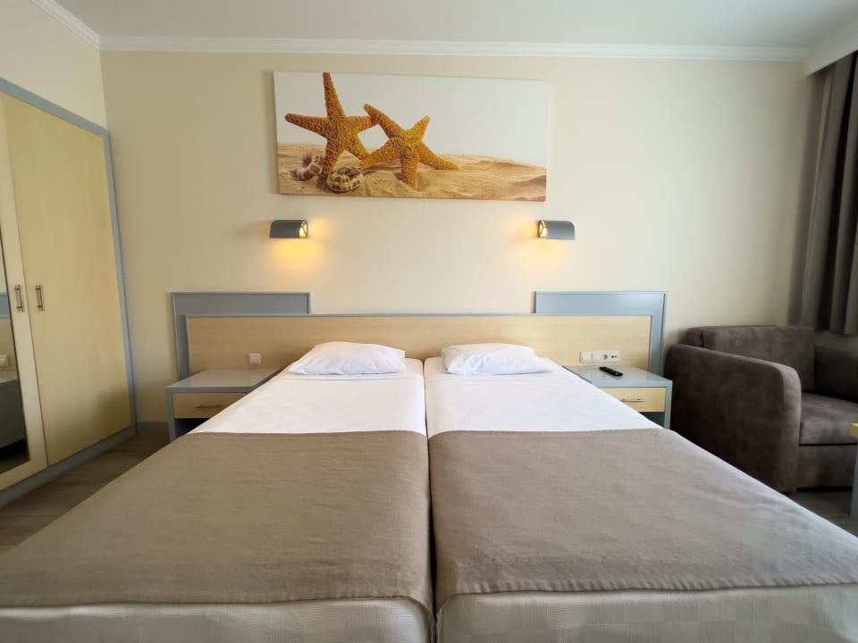 Zimmer AQI Pegasos World