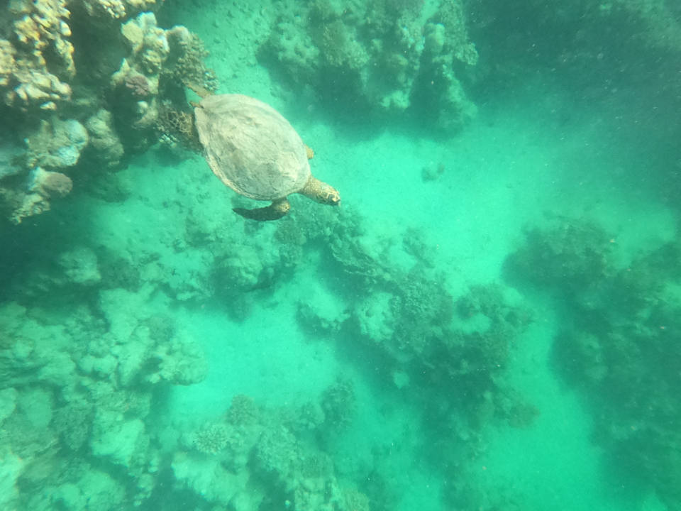 Sonstiges Utopia Beach Club