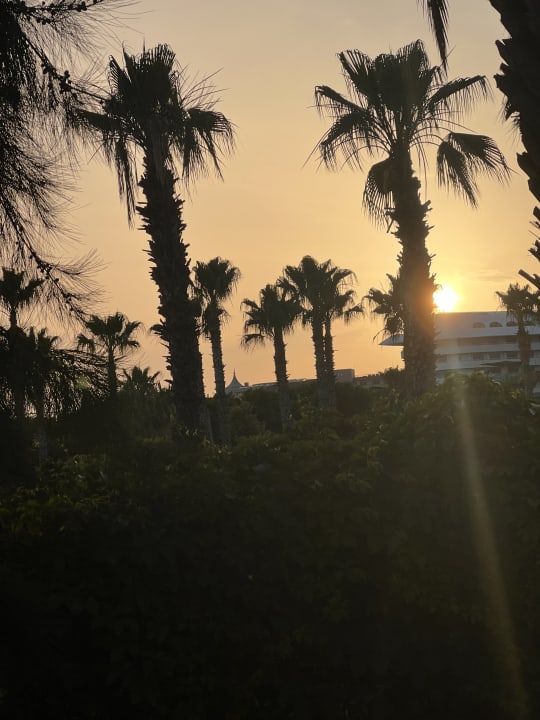 Außenansicht Royal Wings Hotel