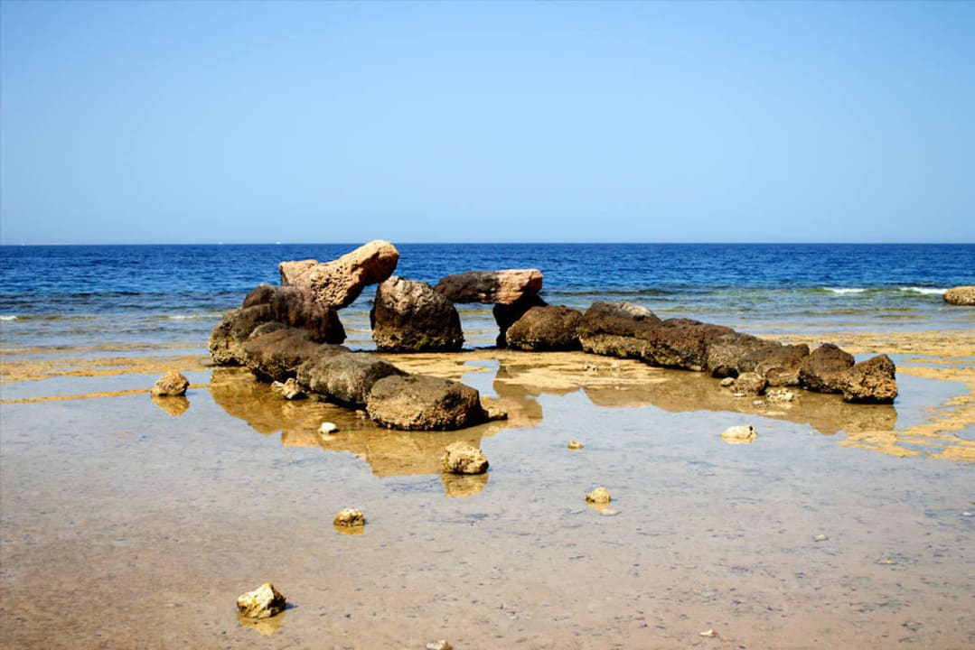 Strand  Pickalbatros Citadel Resort