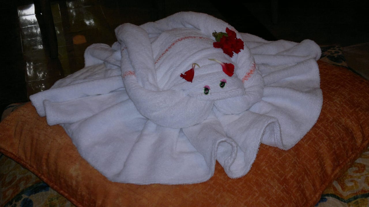 Danke Zimmermadchen Iberostar Waves Quetzal