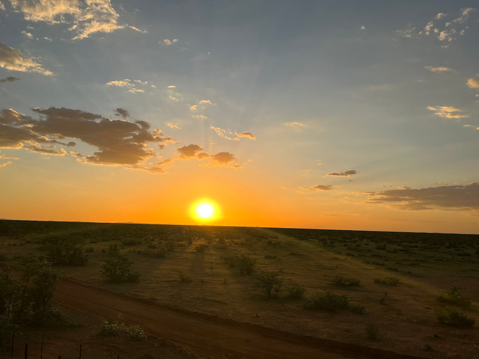 Ausblick Olifantsrus Camp