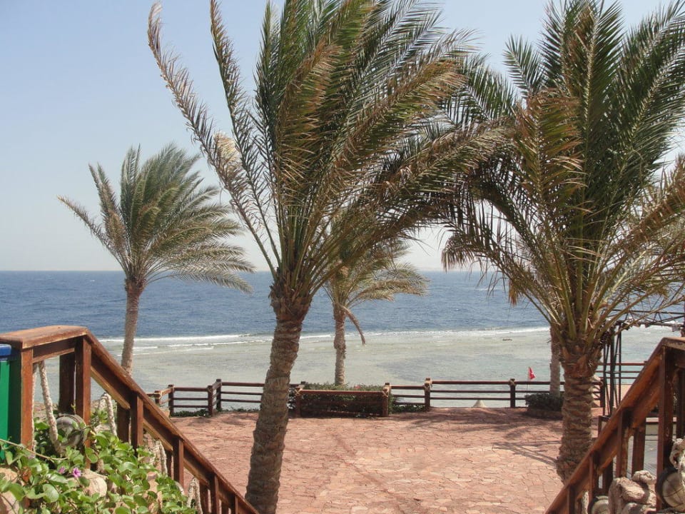 Widok na morze. Hotel Nubian Village