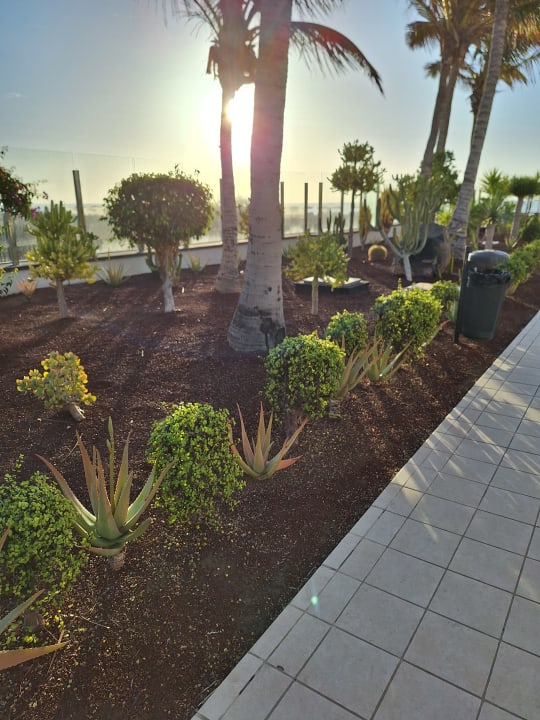 Gartenanlage Hotel Las Costas