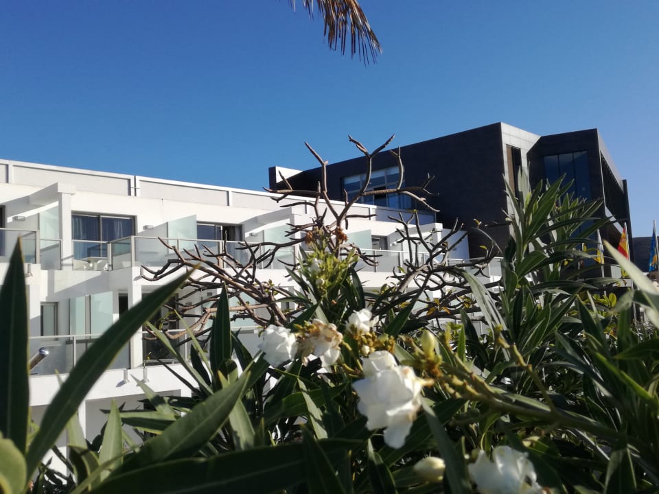 Außenansicht R2 Bahía Playa Design Hotel & Spa - Adults Only