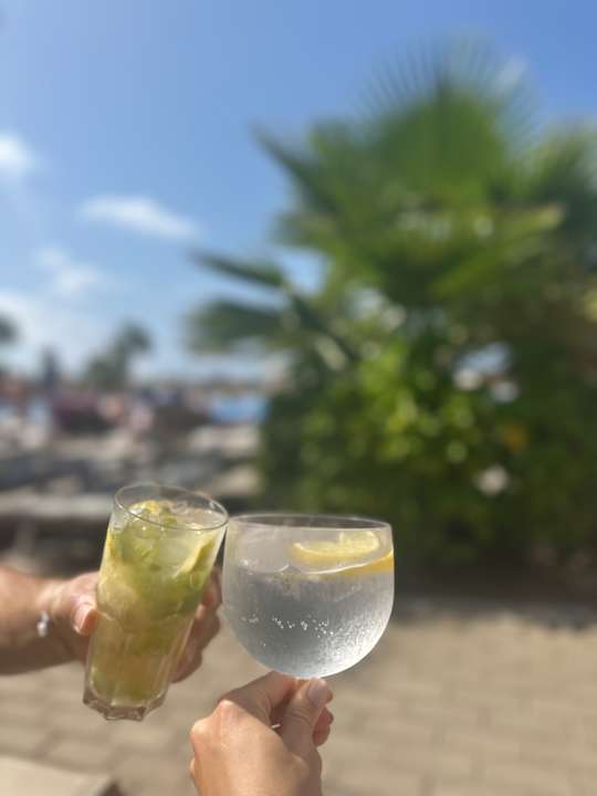 Gastro Hotel Riu Palace Santa Maria