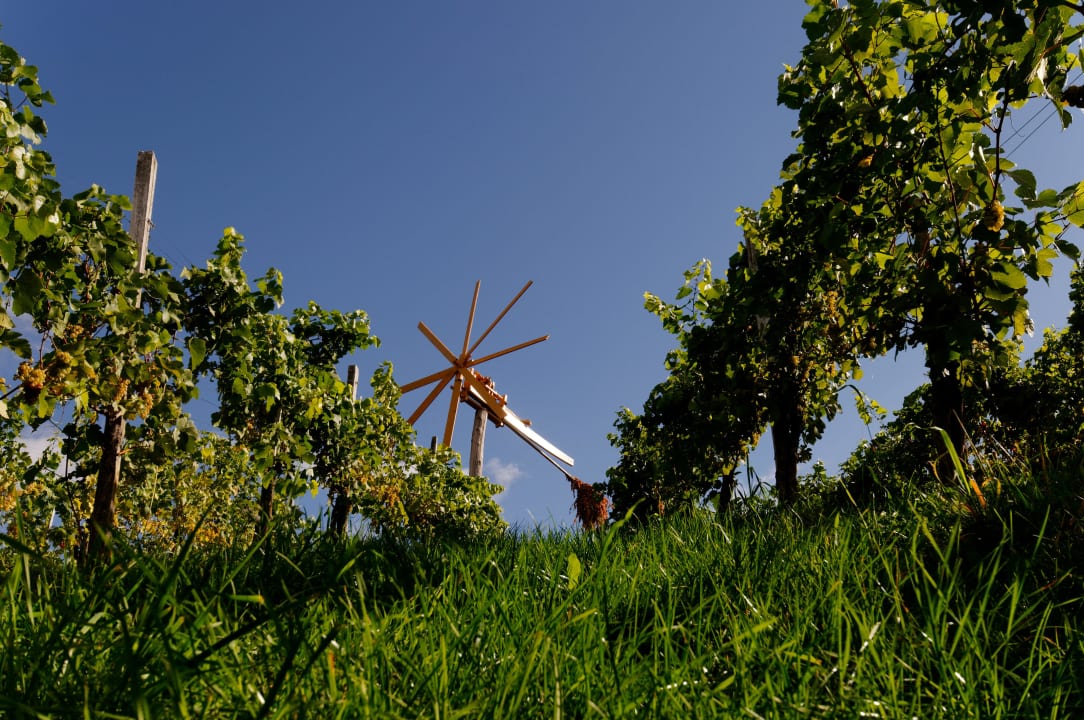 Die Klapotetz im Weingarten - typisch Südösteirisch Hotel Winzerzimmer Rothschädl