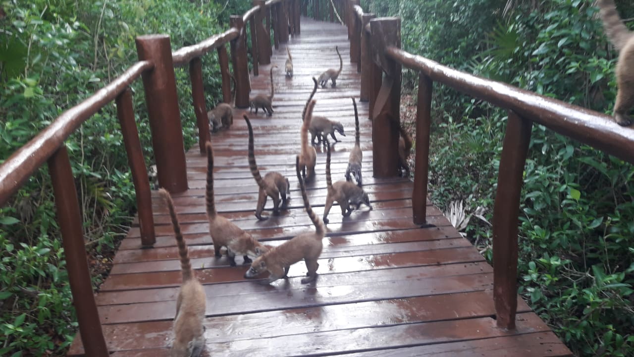 Sonstiges Grand Palladium Select White Sand Resort & Spa