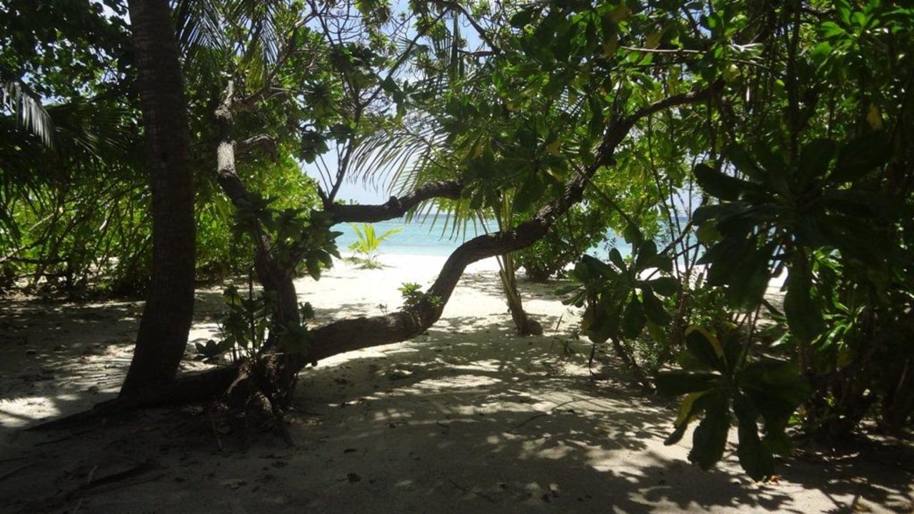 Kuredu Island - Nordstrand (etwa Mitte der Insel) Kuredu Island Resort & Spa