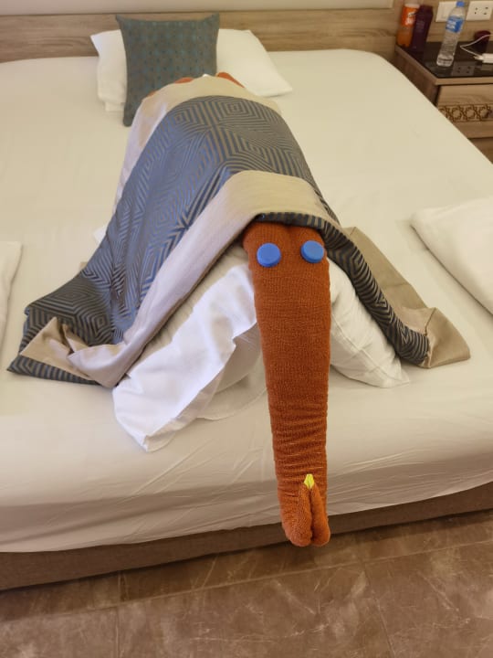 Zimmer Beach Albatros Resort