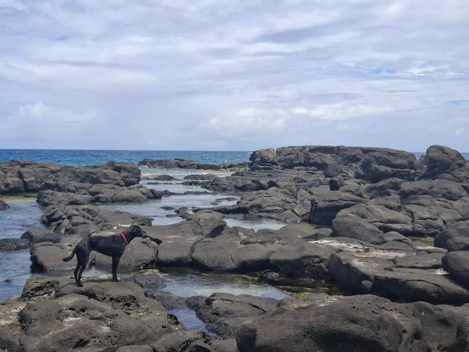 Ausblick Tia Beach House