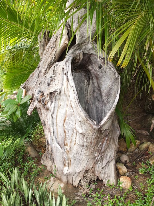 Gartenanlage Santhiya Koh Phangan Resort & Spa